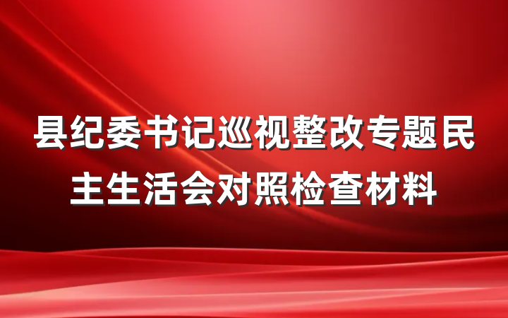县纪委书记巡视整改专题民主生活会对照检查材料