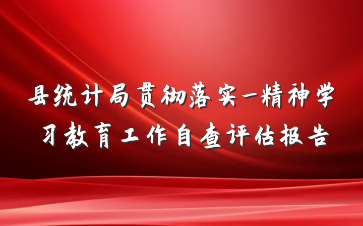 县统计局贯彻落实_精神学习教育工作自查评估报告