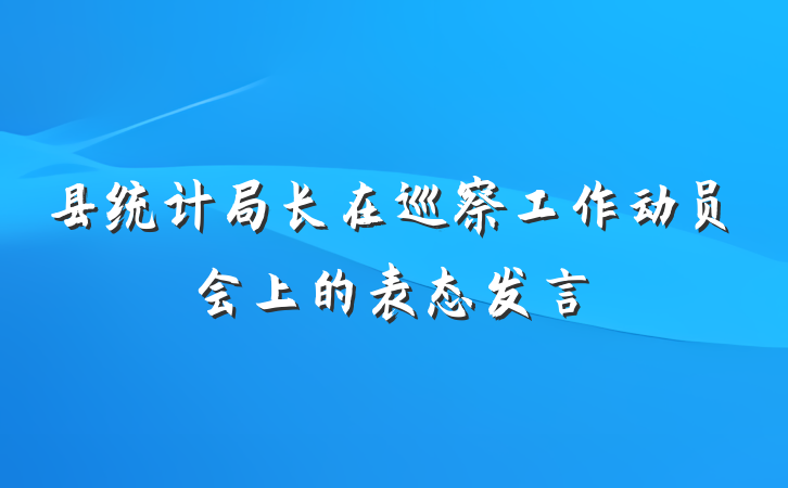 县统计局长在巡察工作动员会上的表态发言