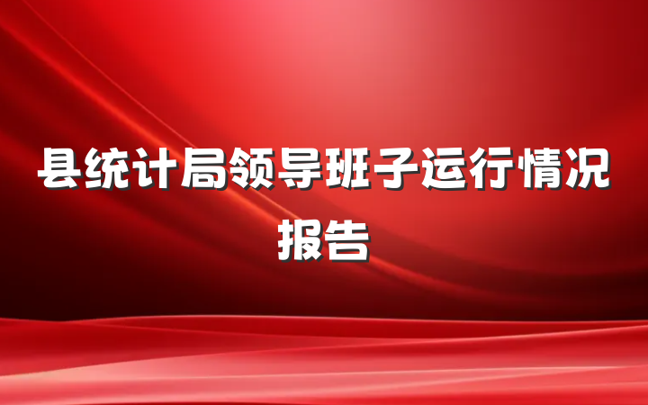 县统计局领导班子运行情况报告