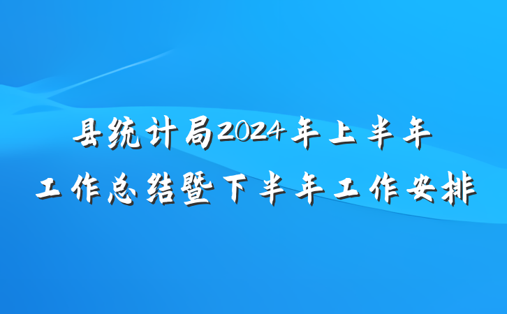县统计局2024年上半年工作总结暨下半年工作安排