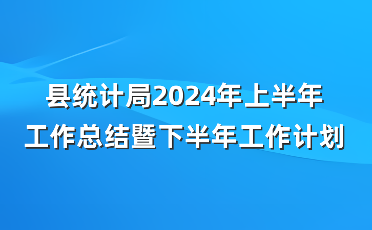 县统计局2024年上半年工作总结暨下半年工作计划