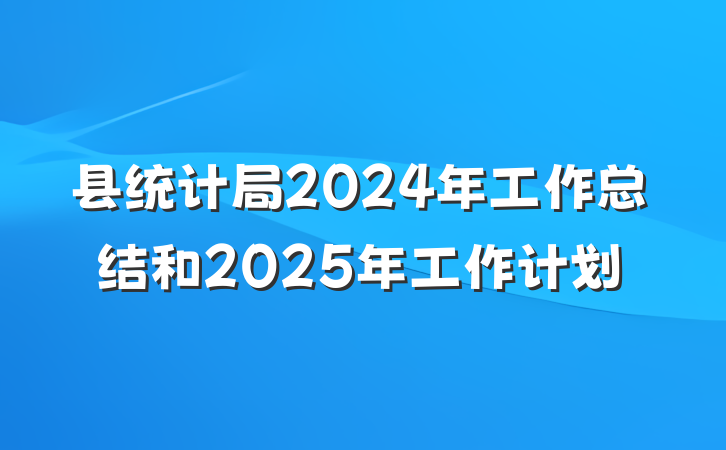 县统计局2024年工作总结和2025年工作计划