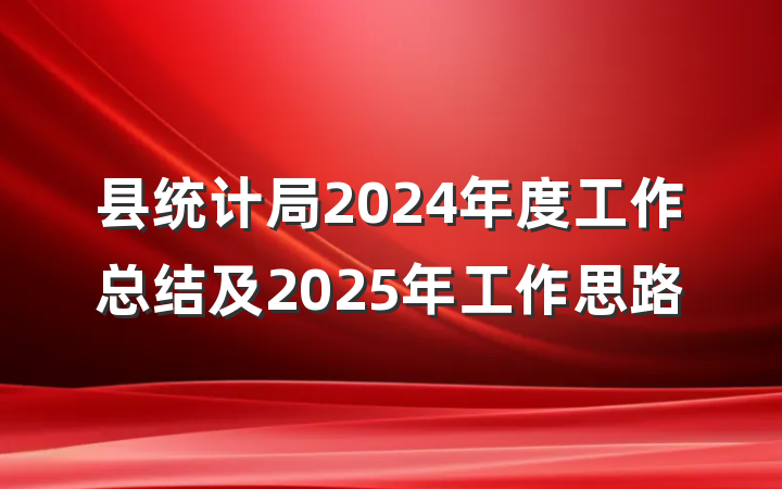县统计局2024年度工作总结及2025年工作思路