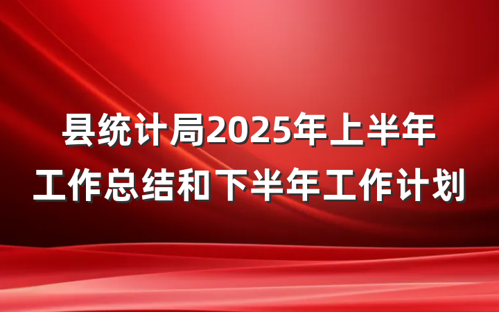 县统计局2025年上半年工作总结和下半年工作计划