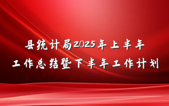 县统计局2025年上半年工作总结暨下半年工作计划