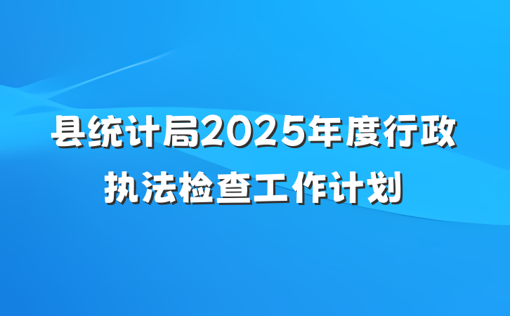 县统计局2025年度行政执法检查工作计划