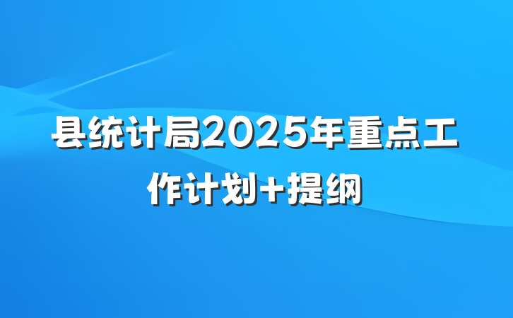 县统计局2025年重点工作计划 提纲