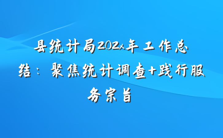 县统计局202x年工作总结：聚焦统计调查 践行服务宗旨