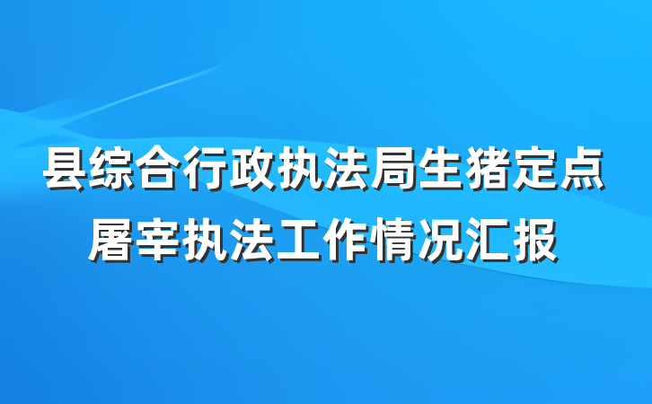 县综合行政执法局生猪定点屠宰执法工作情况汇报