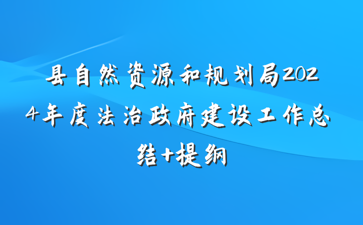 县自然资源和规划局2024年度法治政府建设工作总结 提纲