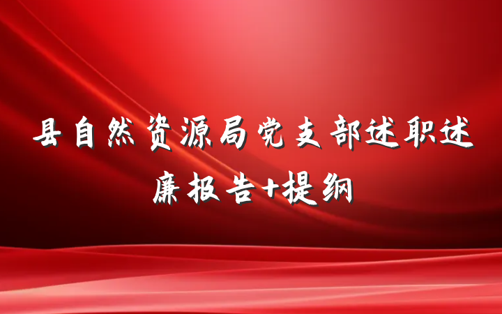 县自然资源局党支部述职述廉报告 提纲