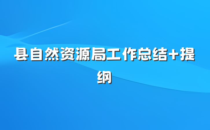 县自然资源局工作总结 提纲