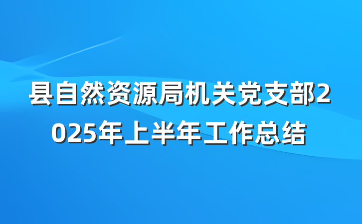 县自然资源局机关党支部2025年上半年工作总结