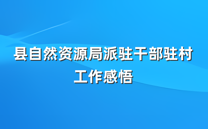 县自然资源局派驻干部驻村工作感悟