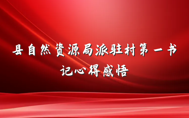 县自然资源局派驻村第一书记心得感悟