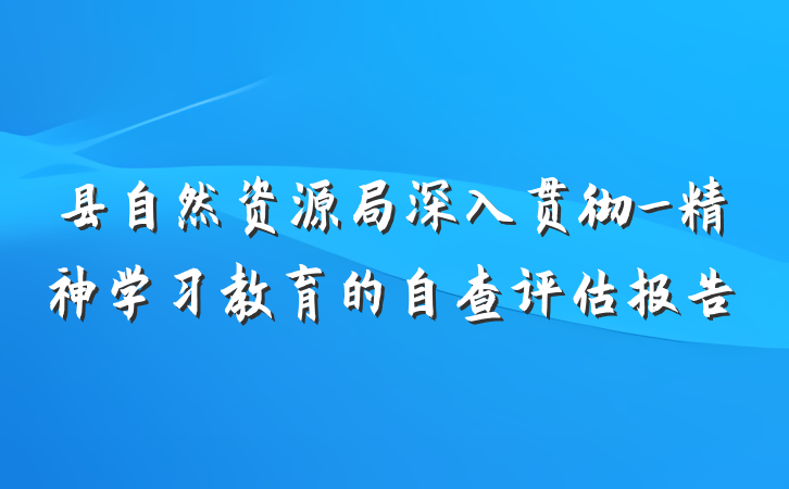 县自然资源局深入贯彻_精神学习教育的自查评估报告