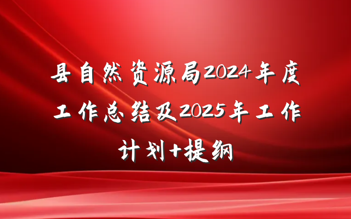 县自然资源局2024年度工作总结及2025年工作计划 提纲
