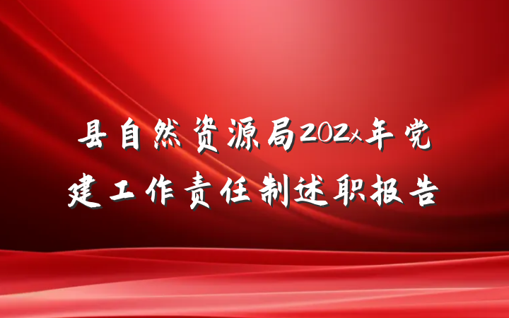 县自然资源局202x年党建工作责任制述职报告
