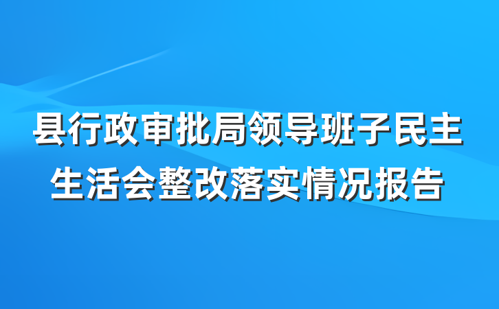 县行政审批局领导班子民主生活会整改落实情况报告