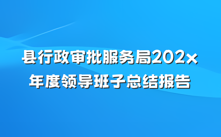 县行政审批服务局202x年度领导班子总结报告