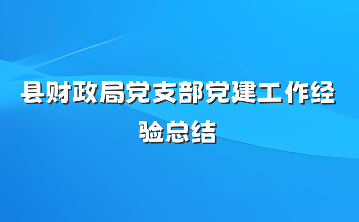 县财政局党支部党建工作经验总结