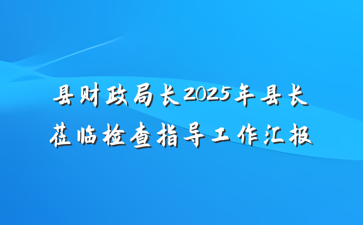 县财政局长2025年县长莅临检查指导工作汇报