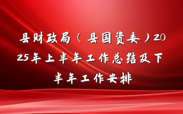 县财政局（县国资委）2025年上半年工作总结及下半年工作安排