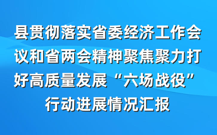 县贯彻落实省委经济工作会议和省两会精神聚焦聚力打好高质量发展“六场战役”行动进展情况汇报