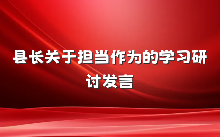 县长关于担当作为的学习研讨发言