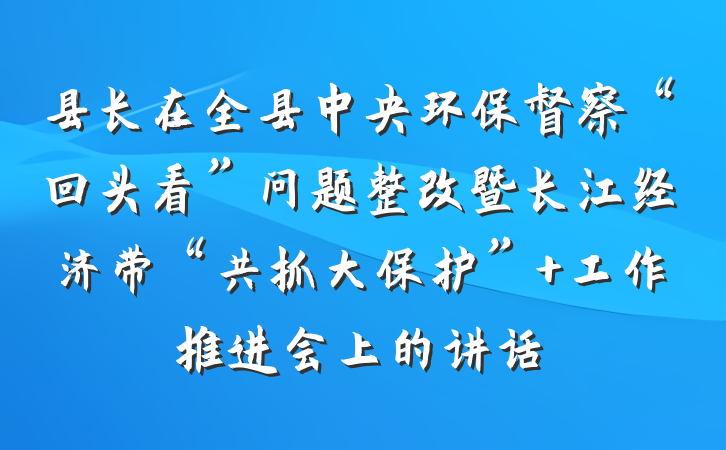 县长在全县中央环保督察“回头看”问题整改暨长江经济带“共抓大保护” 工作推进会上的讲话