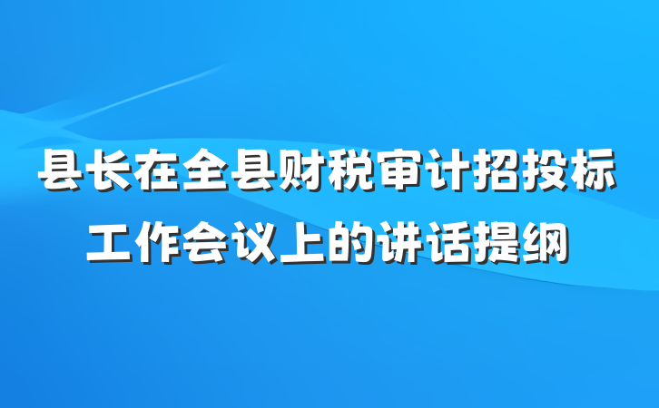 县长在全县财税审计招投标工作会议上的讲话提纲