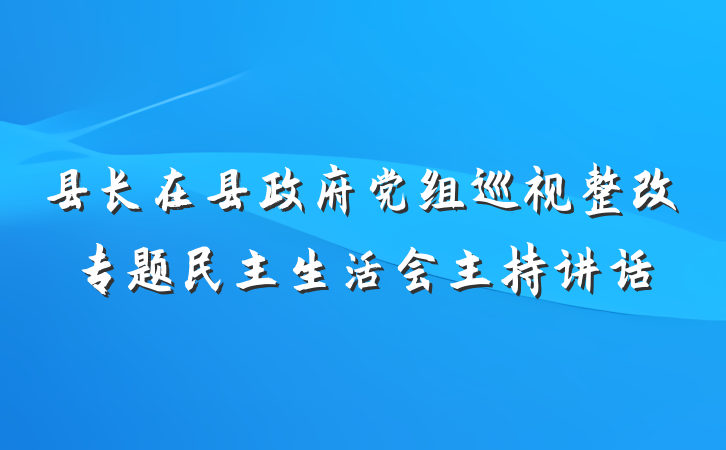 县长在县政府党组巡视整改专题民主生活会主持讲话