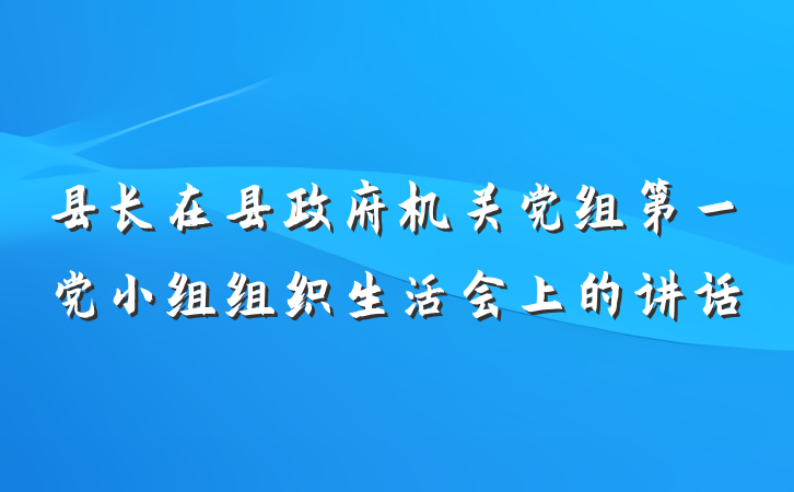 县长在县政府机关党组第一党小组组织生活会上的讲话