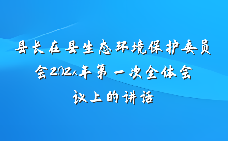 县长在县生态环境保护委员会202x年第一次全体会议上的讲话