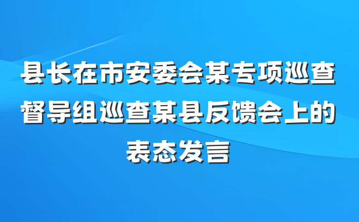 县长在市安委会某专项巡查督导组巡查某县反馈会上的表态发言