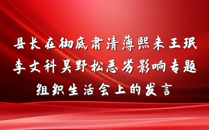 县长在彻底肃清薄熙来王珉李文科吴野松恶劣影响专题组织生活会上的发言