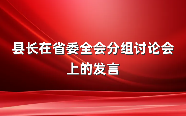 县长在省委全会分组讨论会上的发言