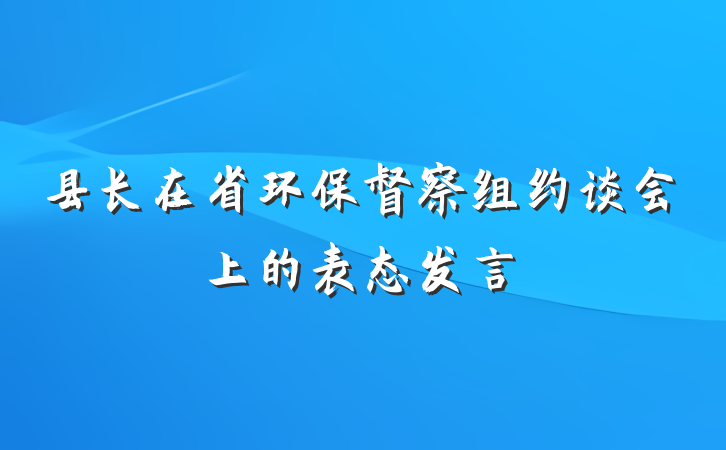 县长在省环保督察组约谈会上的表态发言