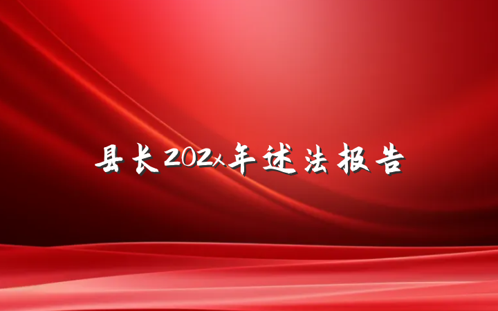 县长202x年述法报告