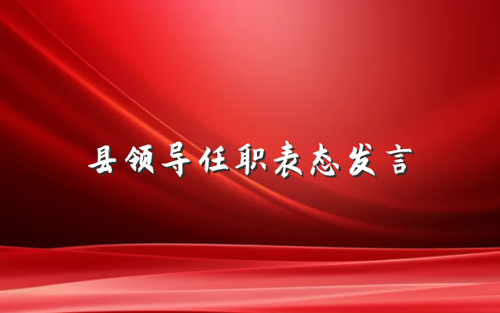县领导任职表态发言