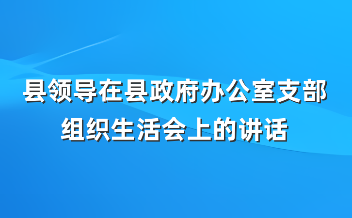 县领导在县政府办公室支部组织生活会上的讲话