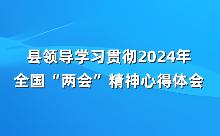 县领导学习贯彻2024年全国“两会”精神心得体会