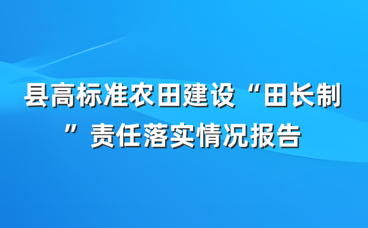 县高标准农田建设“田长制”责任落实情况报告