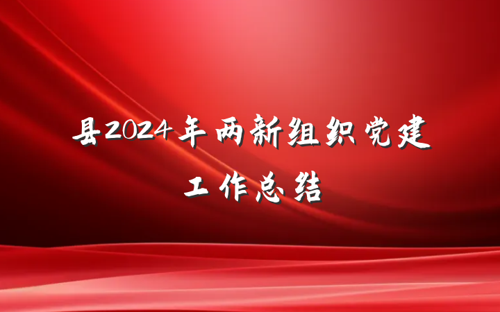 县2024年两新组织党建工作总结