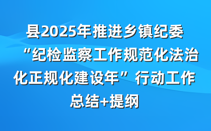 县2025年推进乡镇纪委“纪检监察工作规范化法治化正规化建设年”行动工作总结 提纲