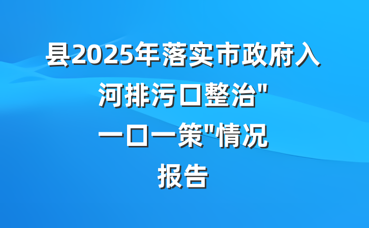 县2025年落实市政府入河排污口整治"一口一策"情况报告