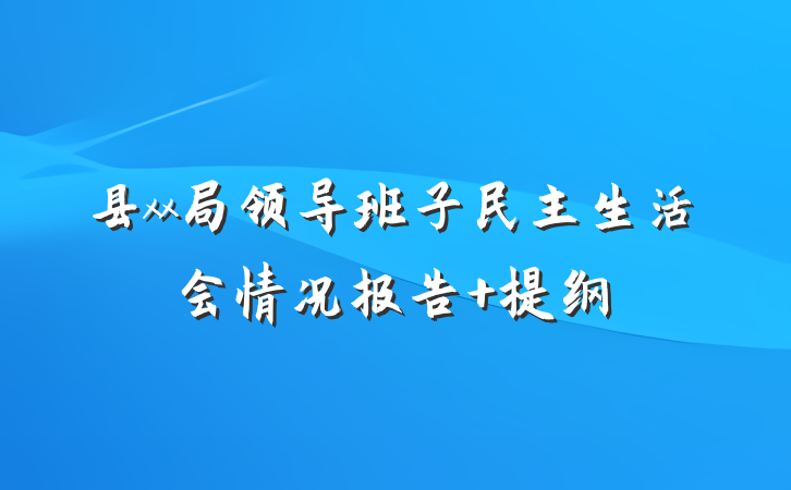 县xx局领导班子民主生活会情况报告 提纲