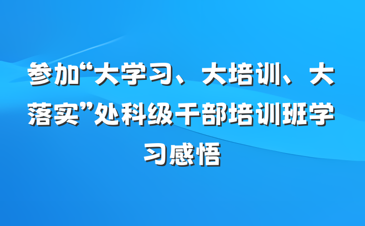 参加“大学习、大培训、大落实”处科级干部培训班学习感悟