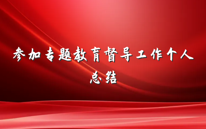 参加专题教育督导工作个人总结